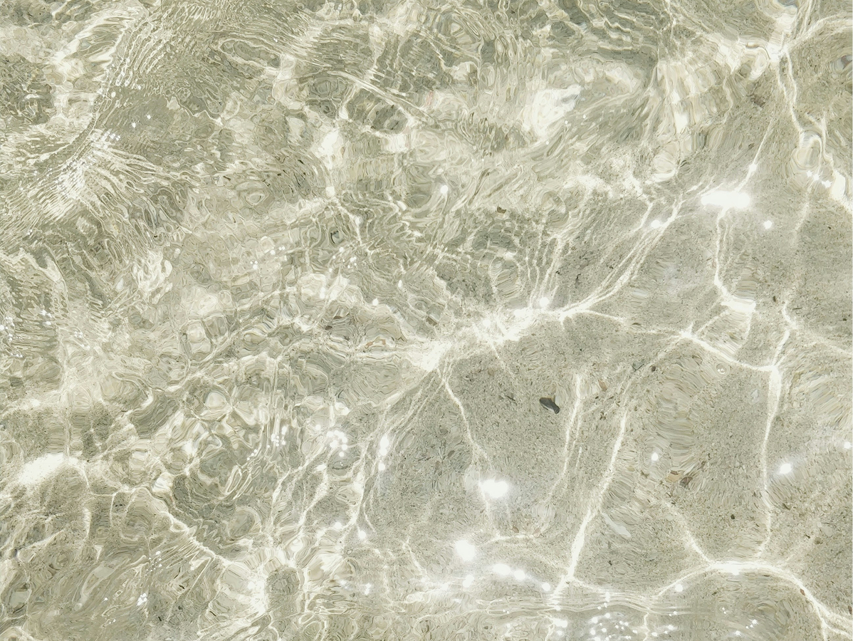 Hair Moisture: The Key to Soft, Shiny, and Manageable Hair