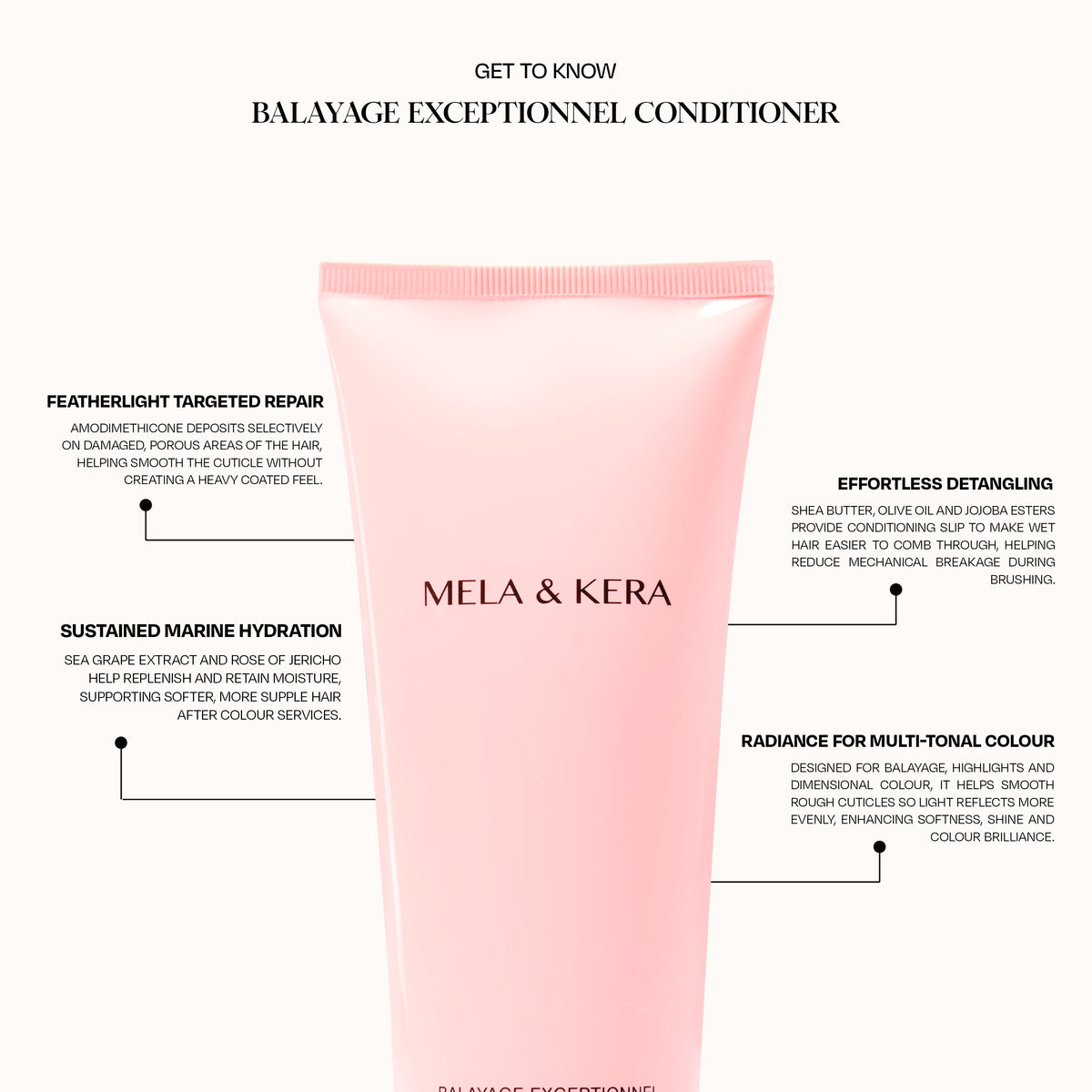 Balayage Exceptionnel Conditioner COMPLIMENTARY