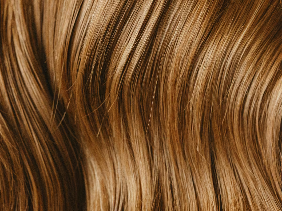 Restore Life to Colour-Treated Hair