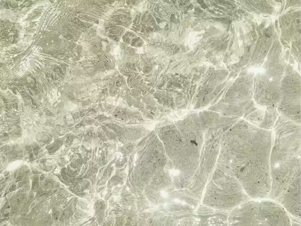 Hair Moisture: The Key to Soft, Shiny, and Manageable Hair