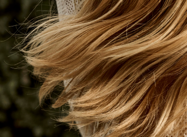 Shop Bundles & Gift Sets