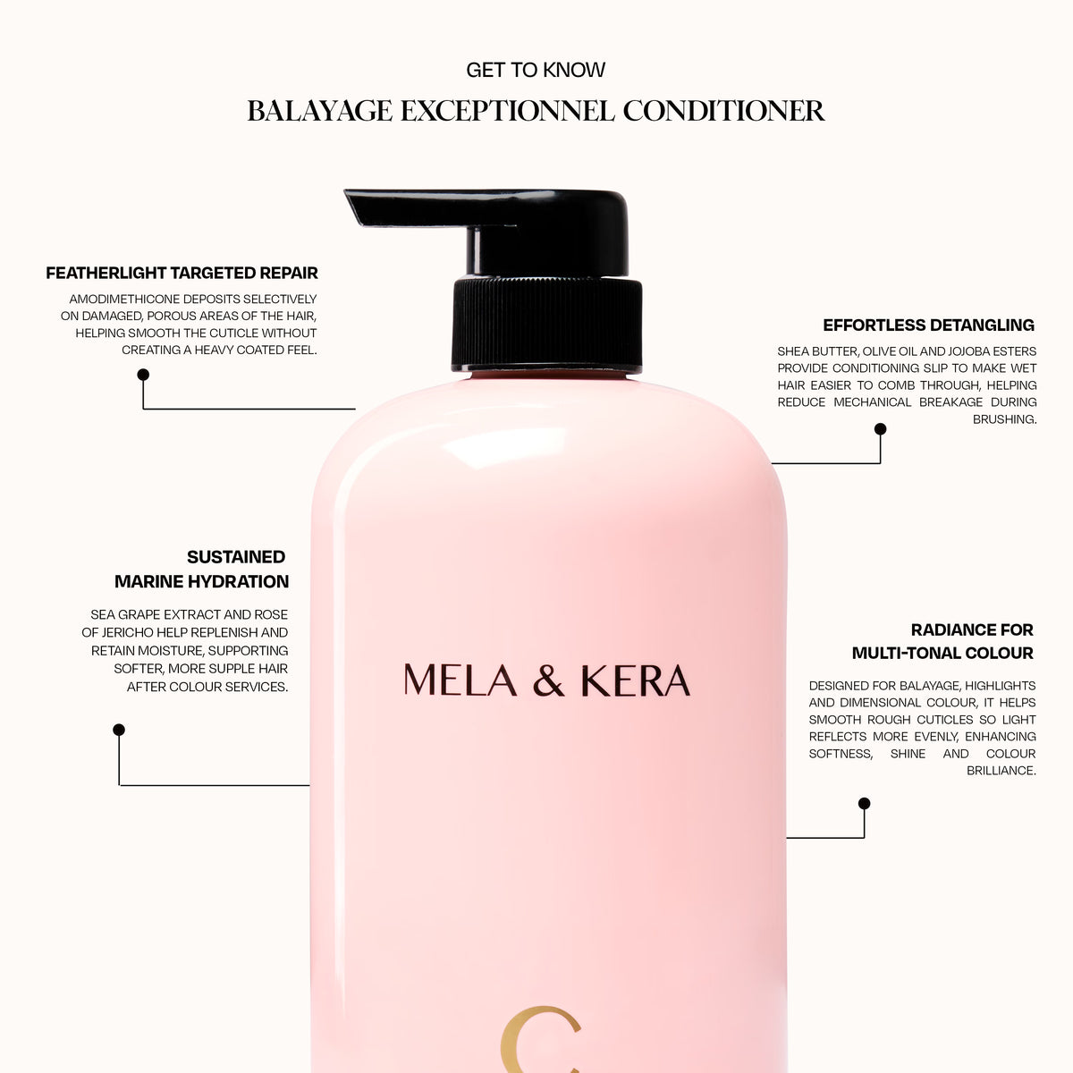 Balayage Exceptionnel Conditioner (975ml)